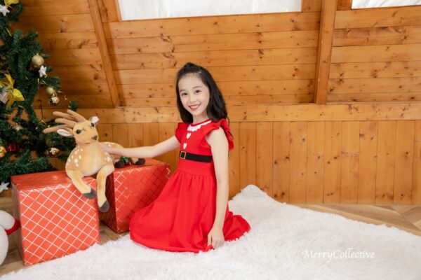 Santarina Dress for Girls - Image 4